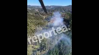 La huella del “hombre de los perros” en el incendio que arrasó el Fundo Trinitarias