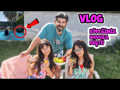 GÜNLÜK HAVUZ VLOG | KÖPEĞİMİZ LUİ HAVUZA DÜŞTÜ | SILA MİRA