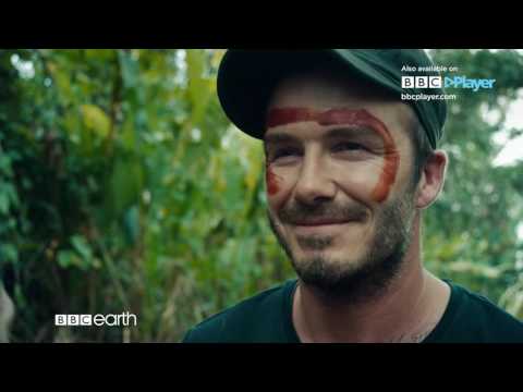 David Beckham Into The Unknown - BBC Player