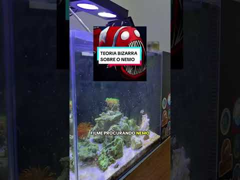 MEU PEIXE VIROU MUIÉ