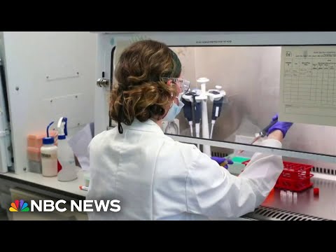 YouTube video thumbnail: Pancreatic Cancer Vaccine Shows Promise in Early Trial