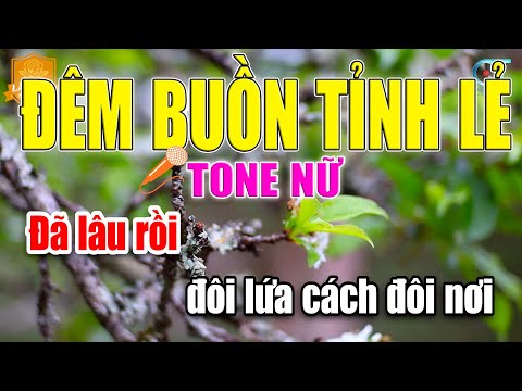 Đêm Buồn Tỉnh Lẻ Karaoke Tone Nữ | Làng Hoa Karaoke