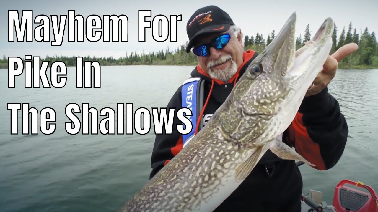 Absolute Mayhem For Pike In The Shallows - The Fishing Canada Show