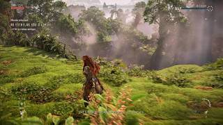 Horizon Forbidden West