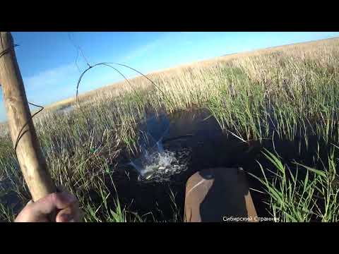 Волшебная труба, полная рыбы и подводная камера Калипсо.