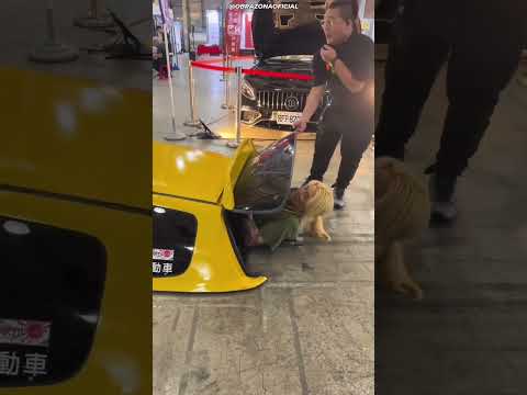 CARRO MAIS BAIXO DO MUNDO