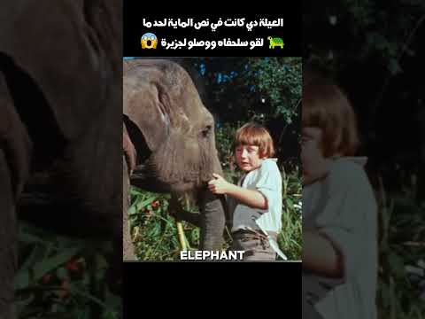 العيلة دي كانت في نص الماية لحد ما🐢 لقو سلحفاه ووصلو لجزيرة😱#shorts