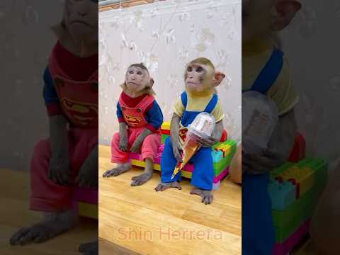 Smart Monkey vs fake Ice Cream cone AURA +9999 😱🍧🤓 #icecream #monkey #funny #pets