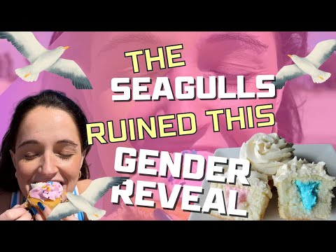 These Birds Completely RUINED This Gender Reveal😱