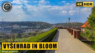 Prague Spring Walk Vyšehrad in Bloom — Lilacs & Stunning City Views | 4K HDR
