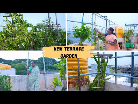 மாடித்தோட்டத்தை VERA LEVELல மாத்திட்டோம் |NEW TERRACE GARDEN UPDATE|@Ammaveetusamayal