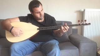 KARLI KAYIN ORMANI (ZÜLFÜ LİVANELİ)
