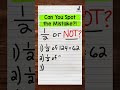 Understanding Fractions and Identifying Mistakes