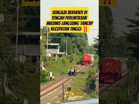 KELAKUAN ORANG INI BENAR BENAR BIKIN GERAM !! #perlintasankeretaapi #railwaycrossing #railway #fyp