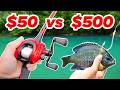 Fishing Challenge Strategies and Species