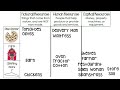 Types of Business Resources