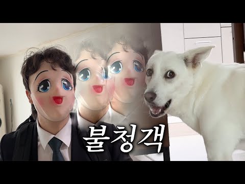 수상한 사람이 집에 방문해서 상당히 심기가 불편한 복순이