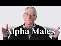 Understanding Social Hierarchies and Alpha Roles