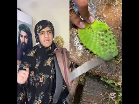 #ممكن​ متابعه ولايك حته أستمر 🙏#شعب_الصيني_ماله_حل​😂😂 #مهيمن_علاء​ #shorts​