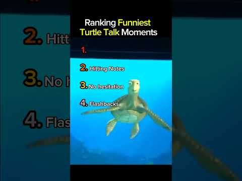 Ranking Funniest turtle Talk Moments Part 18