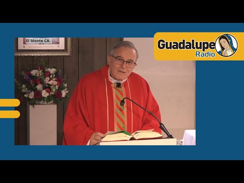 ¿Qué nos dice hoy la palabra de Dios?