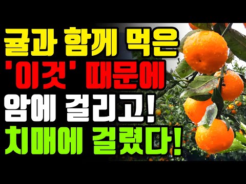 귤과 절대로 함께 먹지마세요! 암과 치매에 걸릴 수 있습니다! - 귤 최악의 궁합 3가지와 만성 염증과 독소 싹 빼주는 최고의 레시피 총정리[귤 감귤 효능 겨울 비타민 건강 정보]