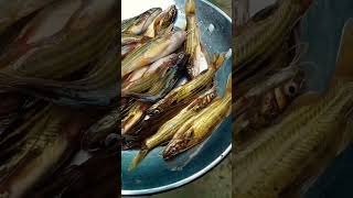 শরতের আকাশ আর নদীর  টেংরা  ### শর্ট ভিডিও @