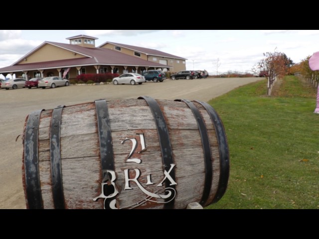 Lake Erie Wine Country Wine Tour | Chautauqua County, NY