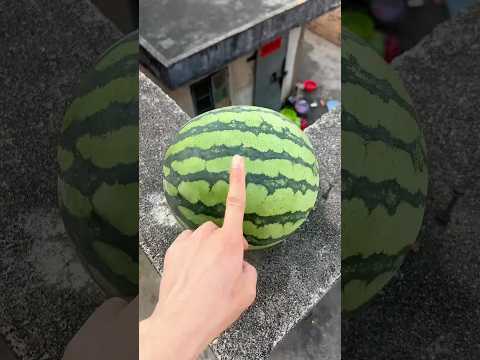 Will a watermelon explode if it rolls down from a tall building? part32 🍉💥 #watermelon #funny