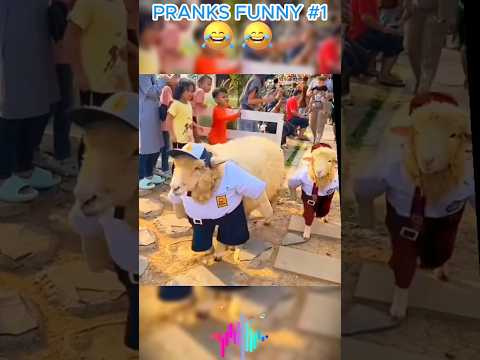 #prankvideo #funny #sorts #song