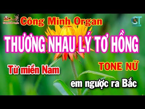 Thương Nhau Lý Tơ Hồng Tone Nữ (Cm) Karaoke | Nhạc Sống Đám Cưới