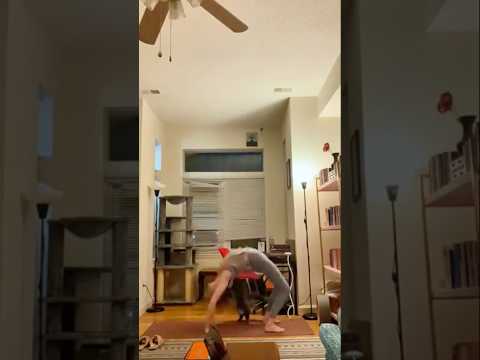 Cat’s version of ‘helping’