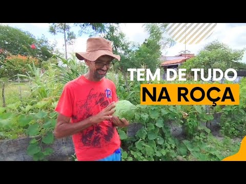 ELE VIVE NA ROÇA E PLANTA DE TUDO | ESTA FAZENDA JÁ TEVE ESCRAVOS @Irailsondapazoficial