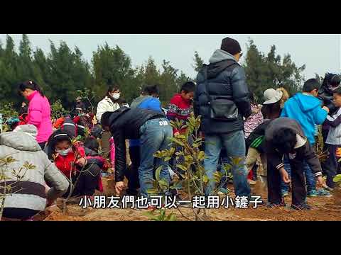 親親自然｜大家來種樹｜防疫線上自然生態影片免費看 - YouTube