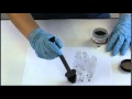 Fingerprint Development Techniques