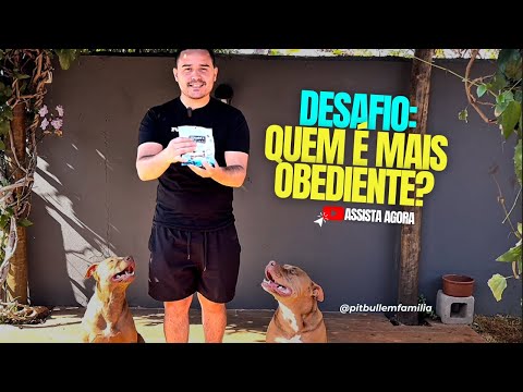 Desafio de quem é mais obediente !! THOR OU JADE ? #assista