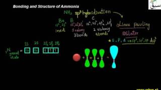Bonding and Structure of Ammonia