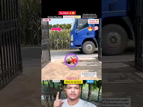 Ya Allah ☝️😇 dog Super Hero 😍 #shorts #status #short #allah #youtubeshorts