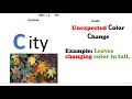 Chemical Changes and Their Indicators