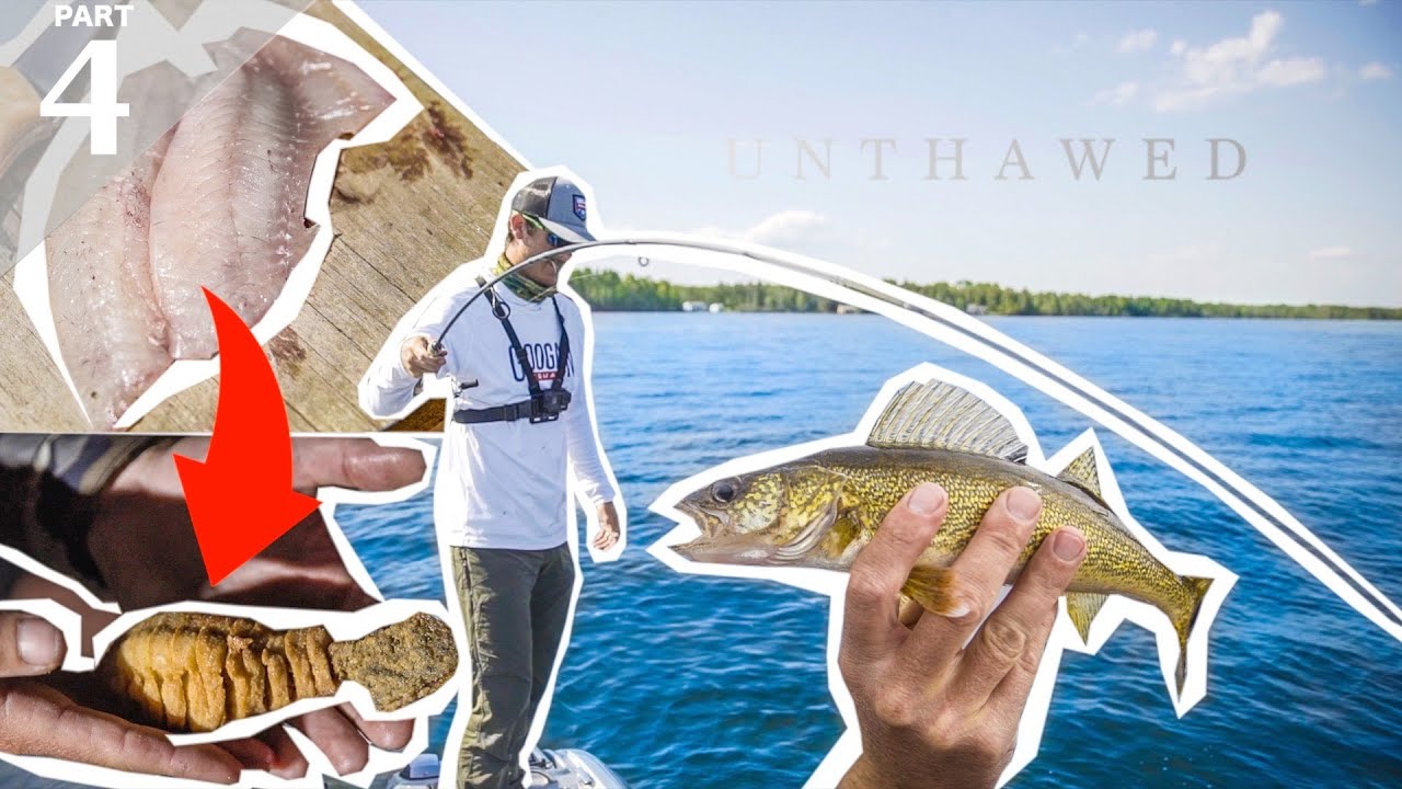 SUCKER FISH vs PERCH Catch & Cook Live Worm Bottom Fishing