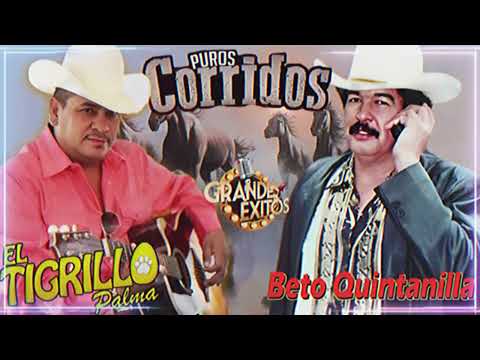El Tigrillo Palma y Beto Quintanilla 🔥Corridos Pesados Mix