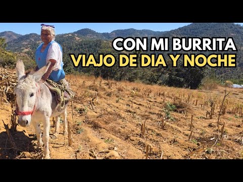 "Me dijeron para que cuidas a ese viejo ahí déjalo 😔"
