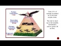 Biology EOC Ecology Review Challenge