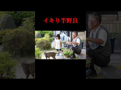 誇り高き男 #猫