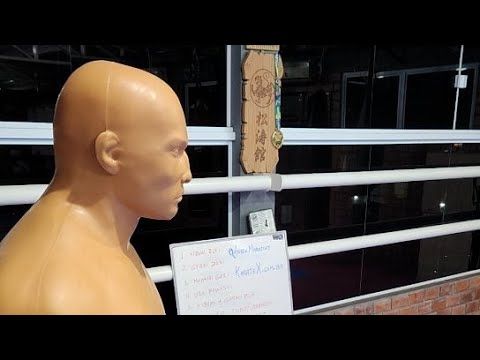 KARATE KUMITE | AULA 10 - LIVE Técnicas e sequências de luta - Youtube VS TikTok