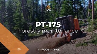 Video - FAE PT-175 - Tracked carrier - Land Clearing in Montana (USA) with PT-175 Tracked Carrier
