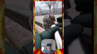 Frozen Squirrel Comes Back to Life?!