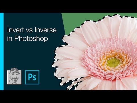 Invert vs Inverse in Photoshop