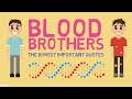 Understanding Themes in 'Blood Brothers'