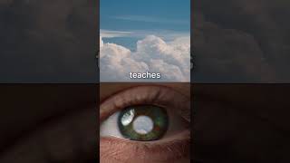 Your sense of meaning depends on the quality of your attention.